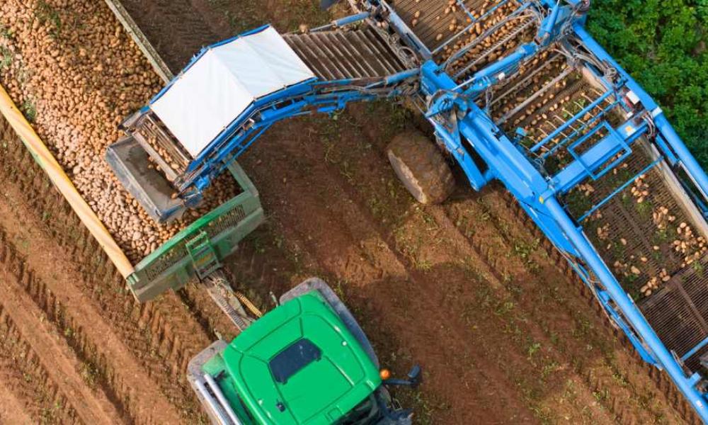 Høstens rytme sætter scenen for rettidigt indkøb Høstens rytme sætter scenen for rettidigt indkøb